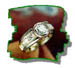 ring002